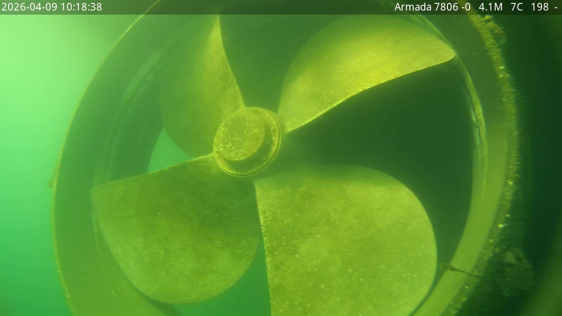 UWILD med ROV